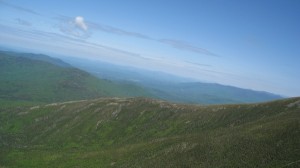 IMG_2045