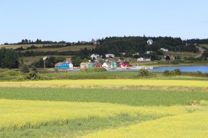 IMG_1250