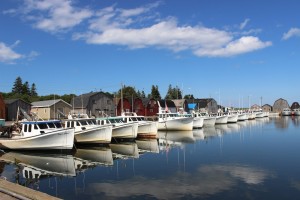 Malpeque Harbour