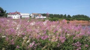 North Rustico Dream