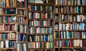 Books on a bookshelf