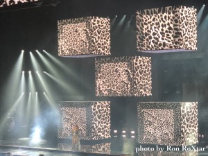 IMG_3528